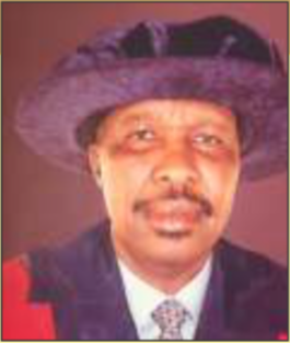 Professor Ibrahim Yakasai, mni (Member)
